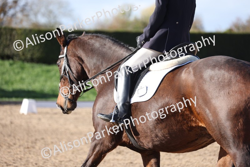 20251101-0575 - Class 4 - Novice 2