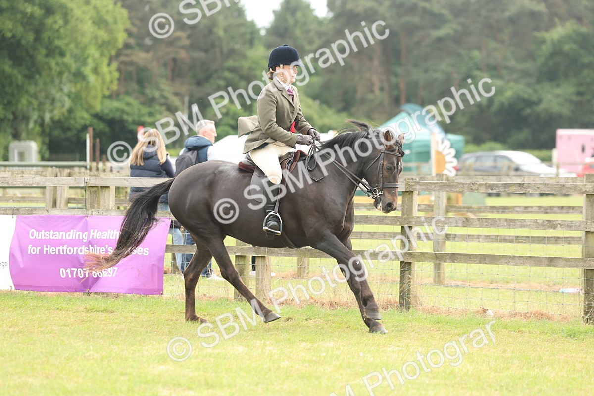 SBM_09122 - Class 78-80 - Ridden M&M Non Welsh Ponies