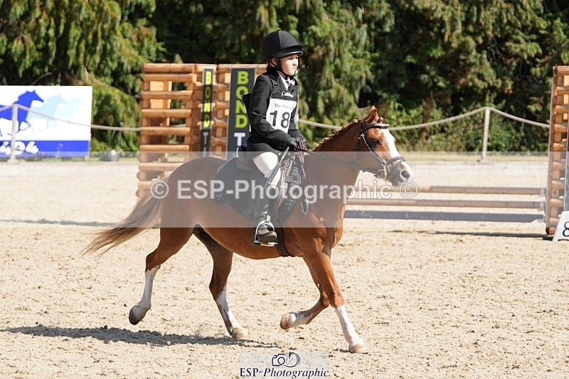 250821A-152737-17512 - WC Round 2 14.00 to End