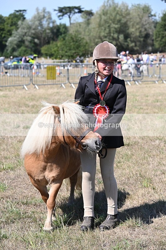 WJ6_8751 - Class 37b Best Loan Pony In-hand