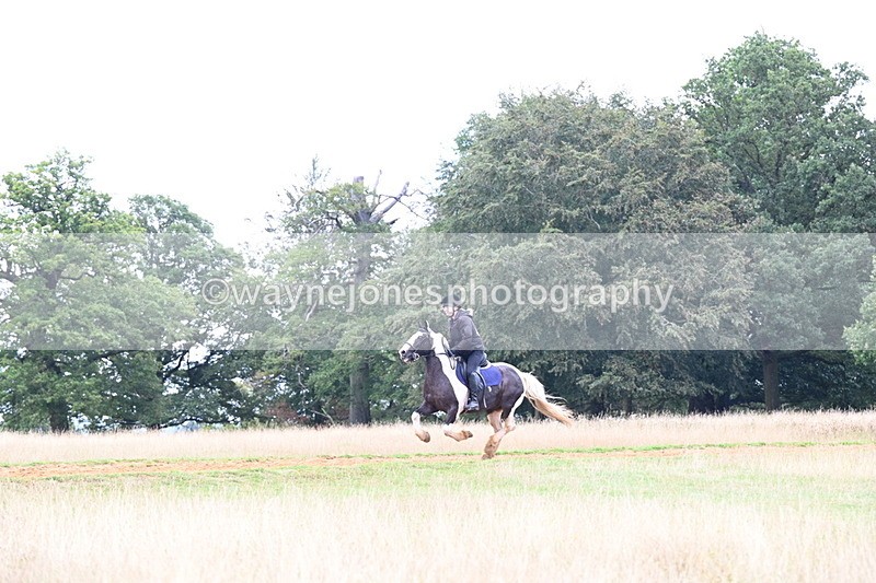 DSC_9523 - Time at Statue 15:11 to 15:58