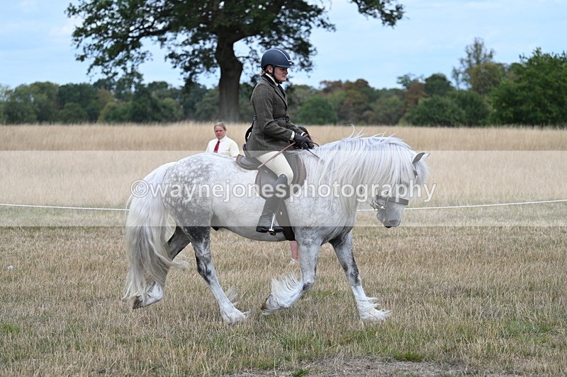 WJ7_4767 - Class 12 Ridden Cob