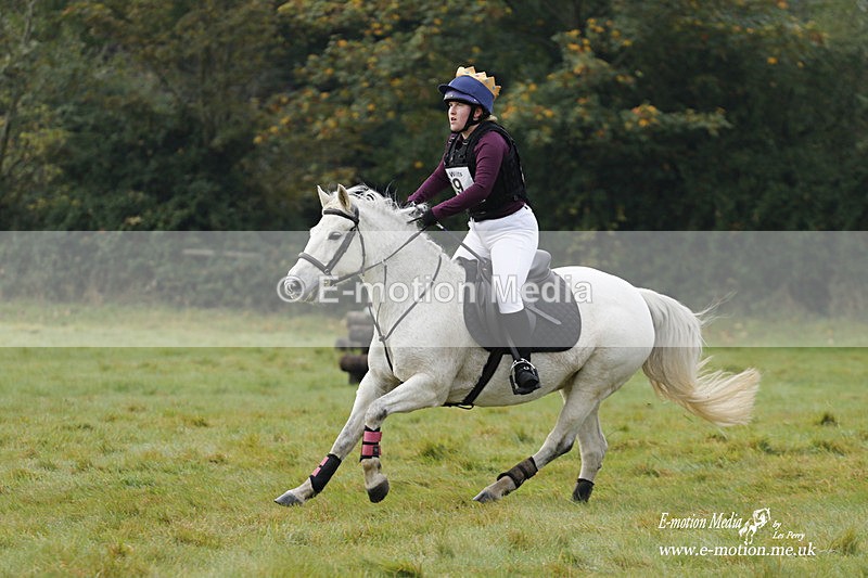  WWHT 171021 0842 - Open Novice (0.80m)  17/10/21