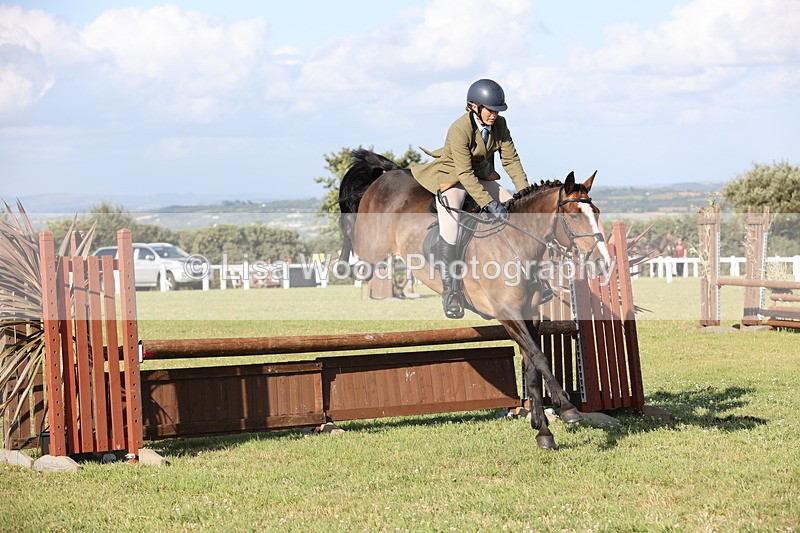 JPP_3132 - Class 21: Working Hunter 80cm