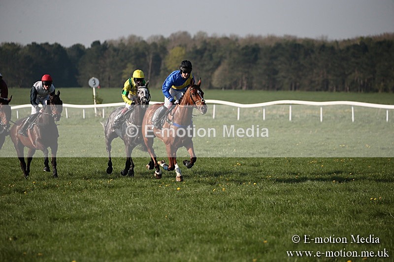 PtP 210418 606 - South & West Wilts Point-to-Point Larkhill 21/04/18