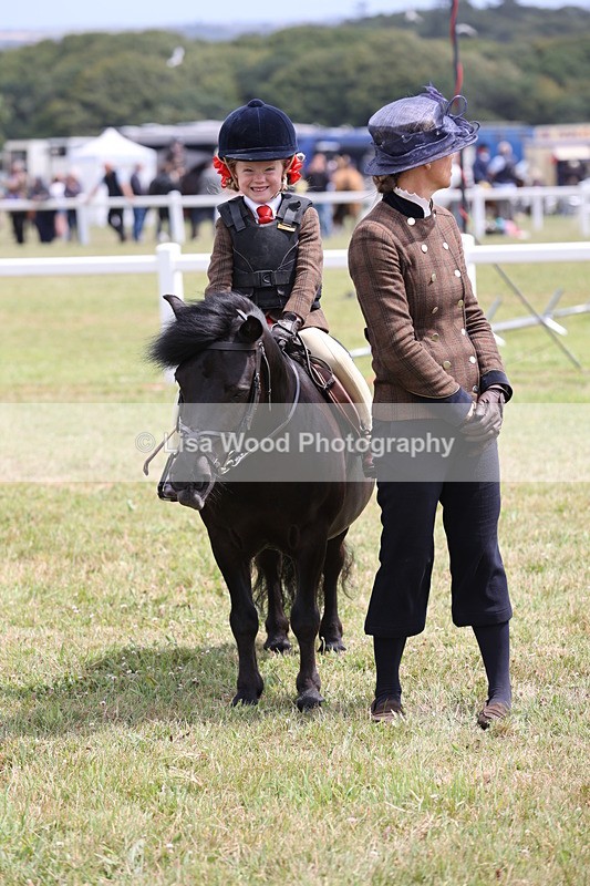 JPP_1970 - Class 18: Tiny Tots Working Hunter Pony