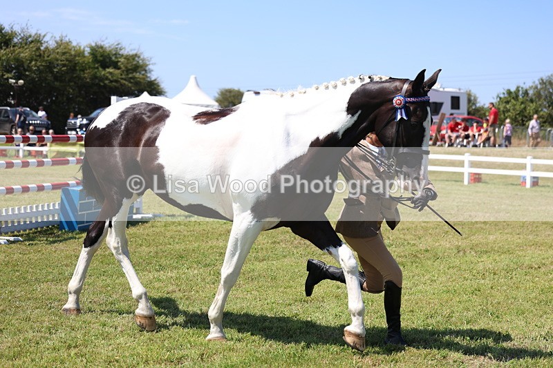 3E7A7907 - Class 7: Open Riding Horse
