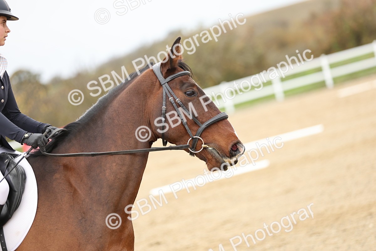 SBM_002947 - Class 8 - Novice 1