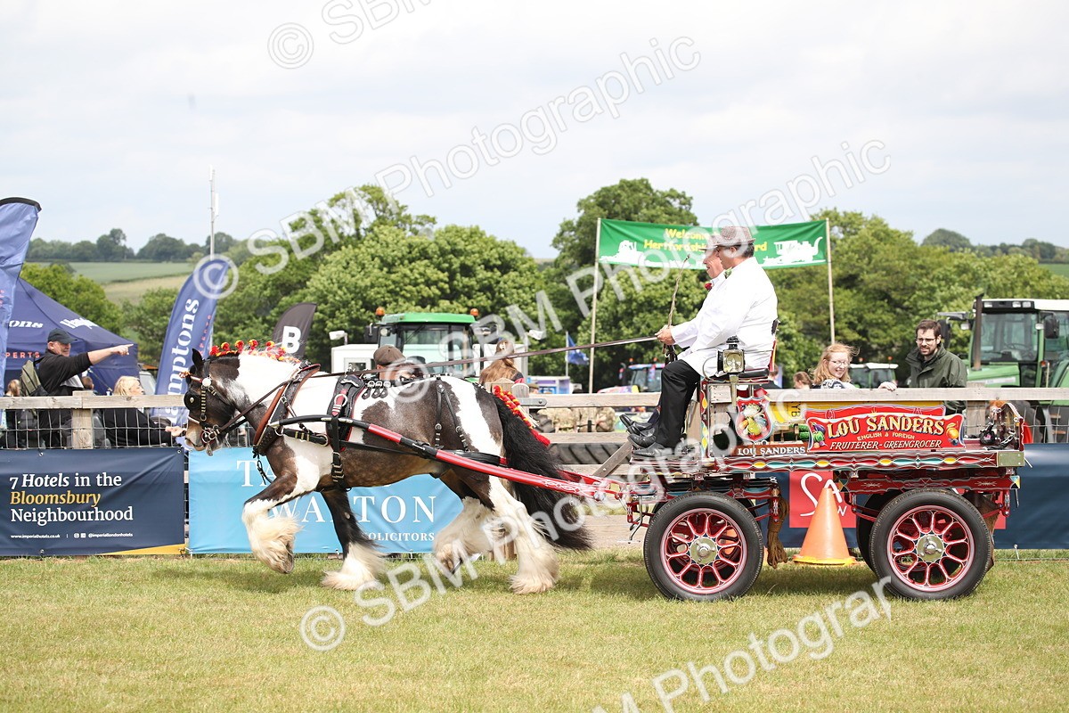 SBM_07014 - Class 16 - Light Trade