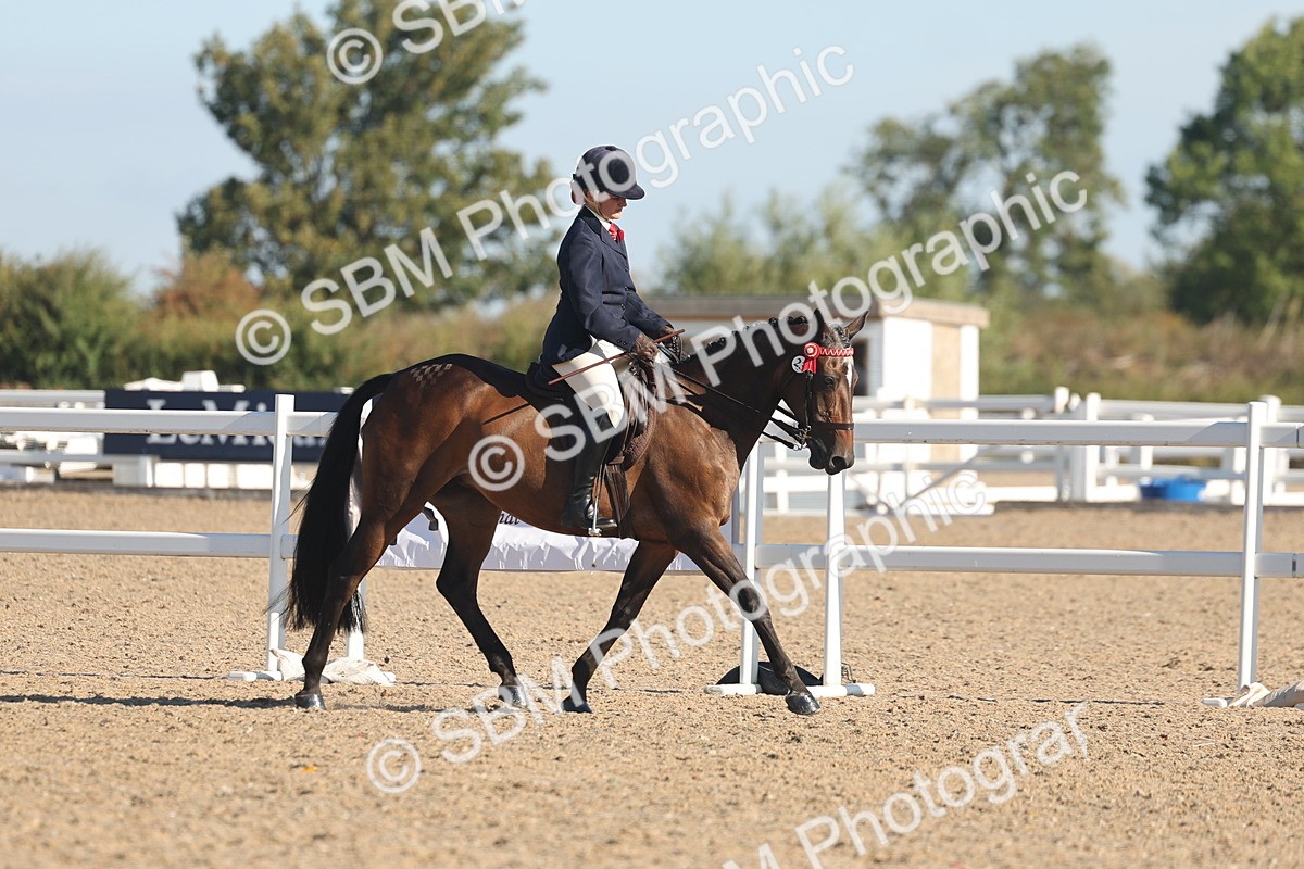 SBM_12195 - Class 303 - Ridden Pure Bred Horse Pony