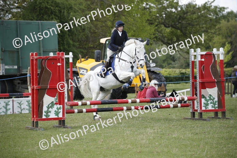 20250427-3718 - Class 14 - Absolute Novice 70cm