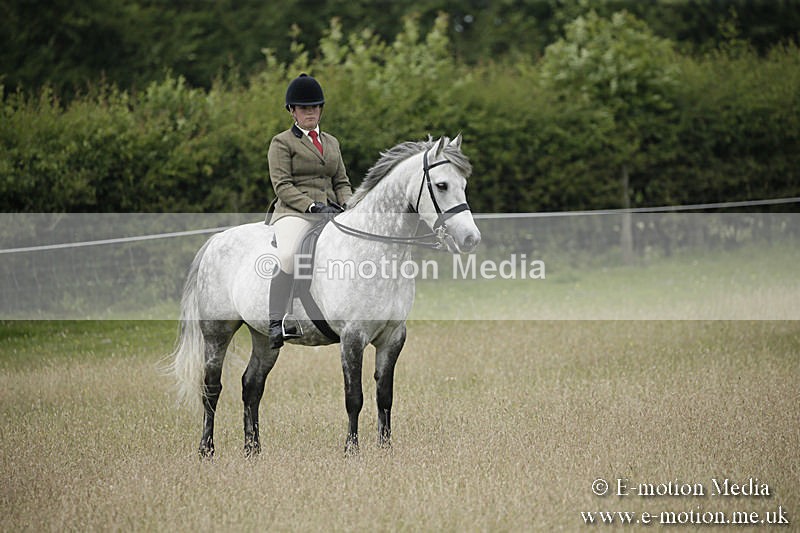 B230619-0503 - Bourne Valley Riding Club Summer Show 23/06/19