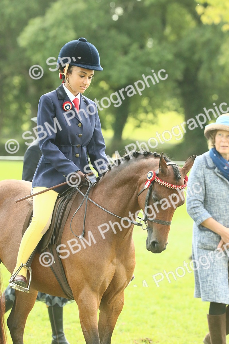 SBM_68081 - S57 - Part Bred Pony Ridden