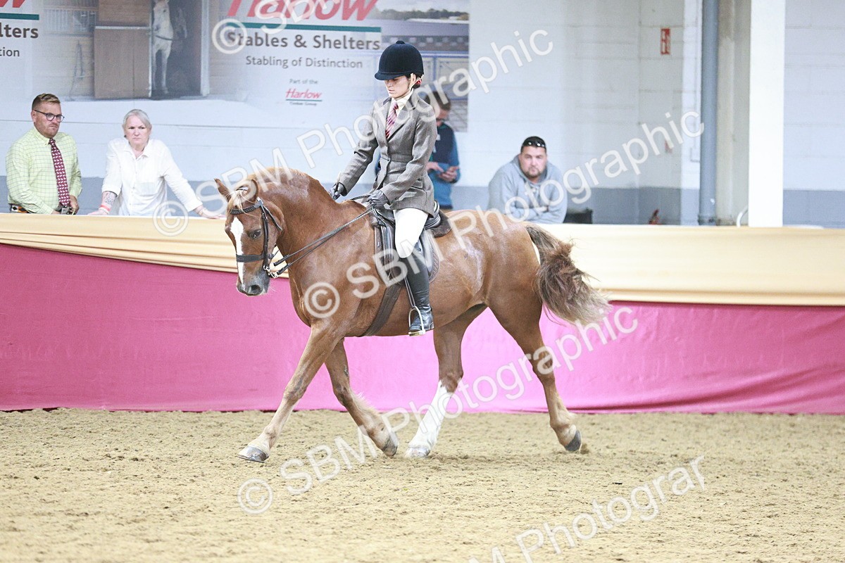 SBM_07130 - Class 10R - Regional Ridden Diamond
