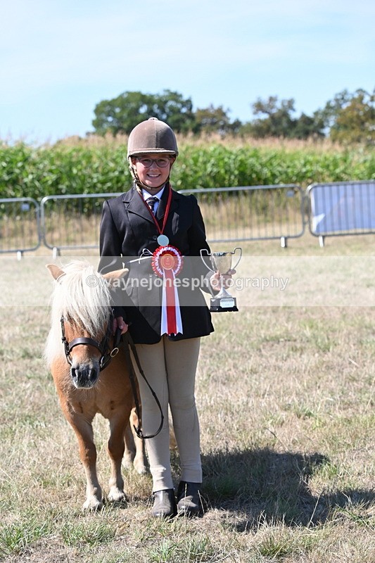 WJ6_8757 - Class 37b Best Loan Pony In-hand