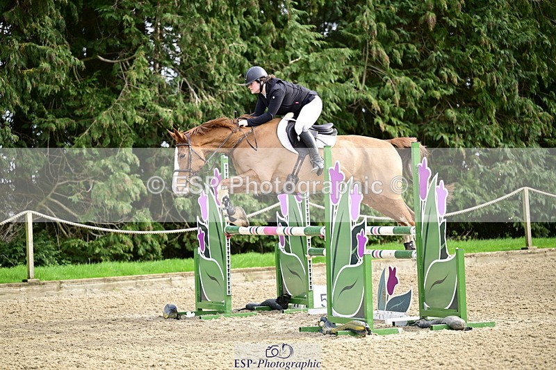 260214A-145600-01093 - 5 Newcomers and 1m 10 Open