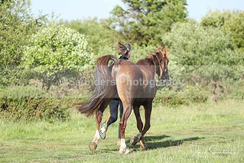 SPXX0089 - Friday vetting