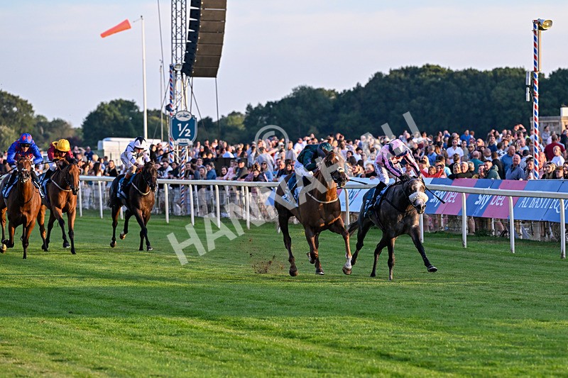240726-Race 6-Explosive Finnish-5577 - Race 6 20.25pm Sky Bet Go-Racing-In-Yorkshire Summer Festival Handicap