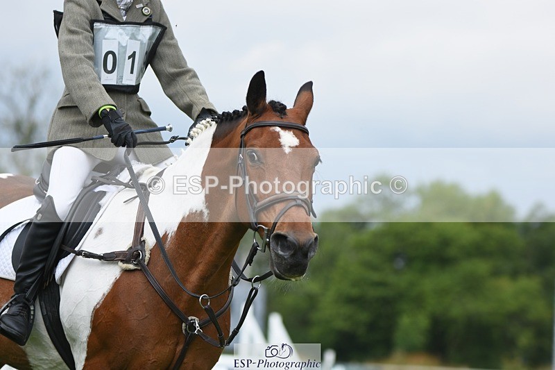 230625-103256-00646 - SJ 90cm  10.05 to 11.10