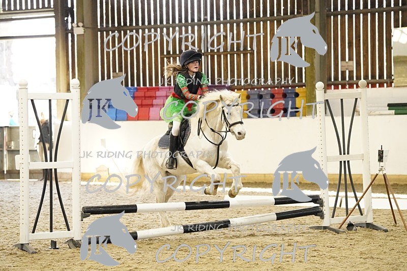 _DSC3264 - 50cm/60cm Pairs