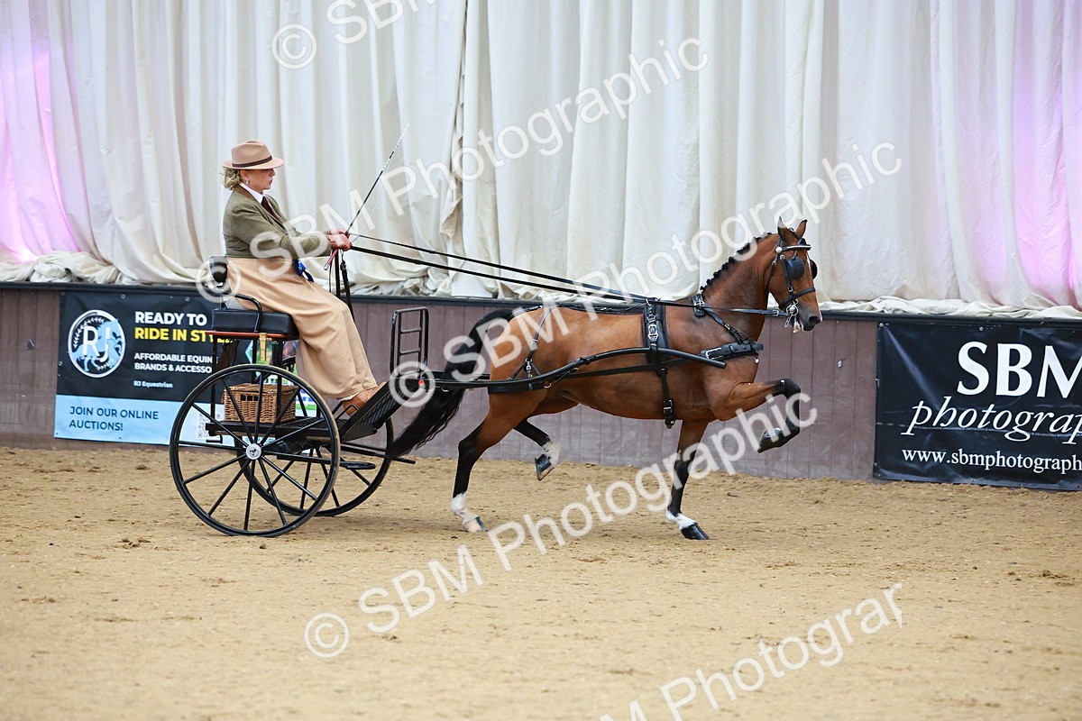 SBM_000158 - Class 3 - Alison Thomas Memorial Lady Whip