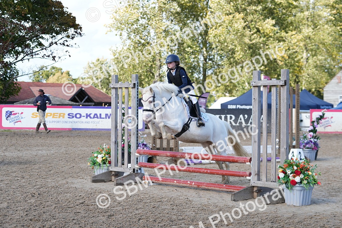 SBM_46556 - J7 - Junior Pony 60cm Championship