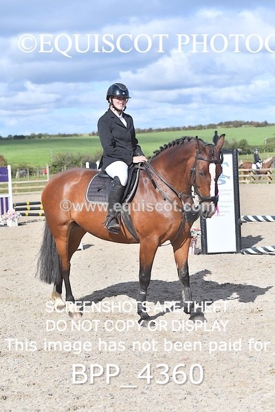 BPP_4360 - CLASS 6 HORSE 60CM FINAL