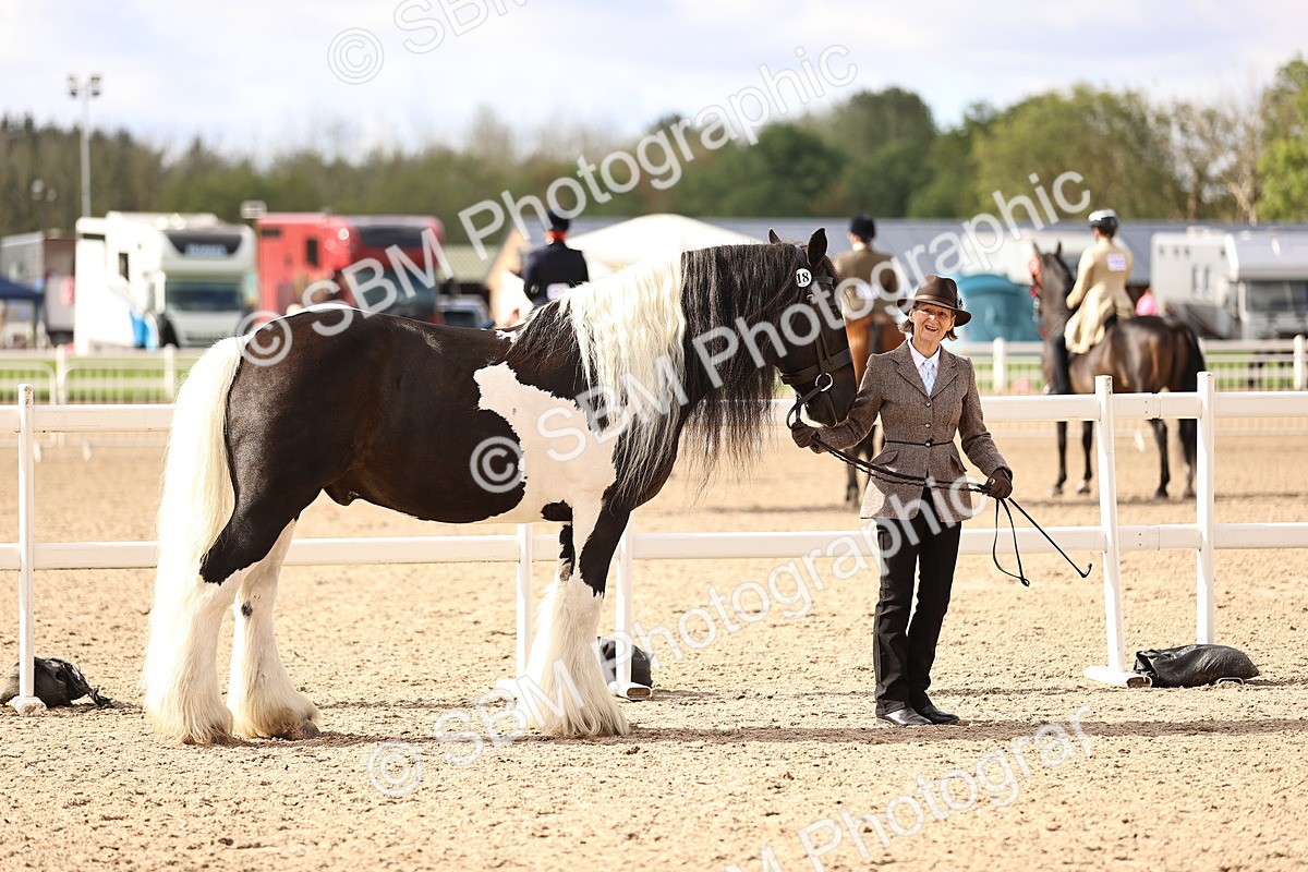 SBM_09290 - Class 404 - IH Traditional - Native Cob