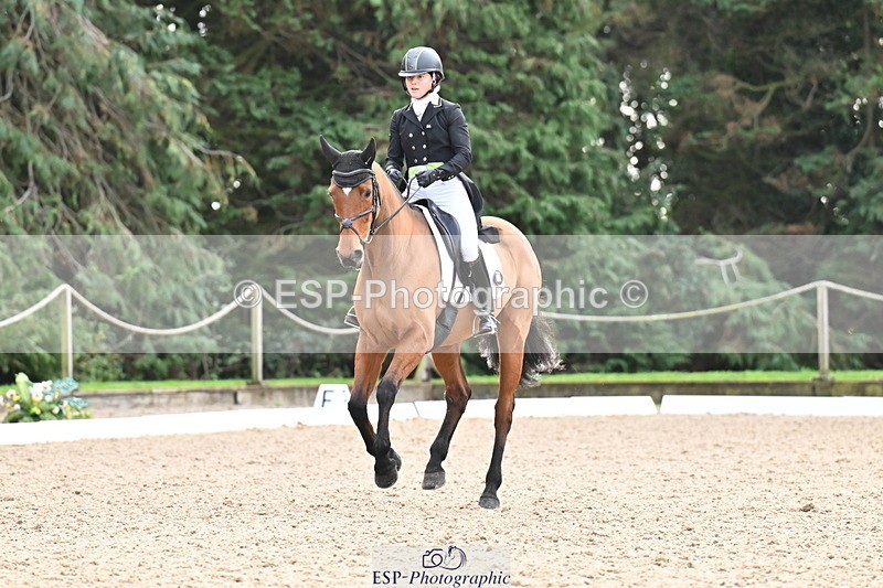 251023A-111421-01179 - C-227-Tarka.Abraham