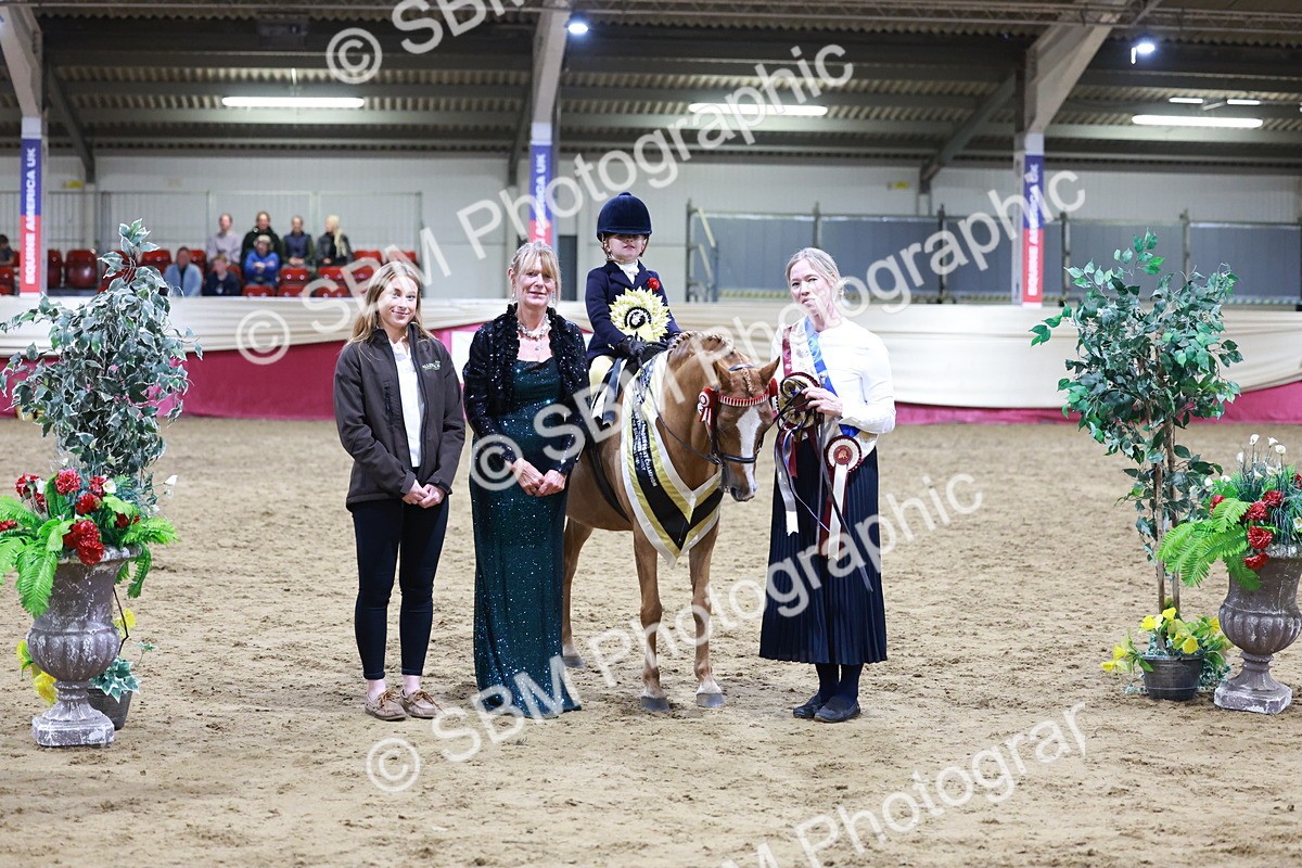 SBM_20581 - Class H - IH Competition - Riding Club champ