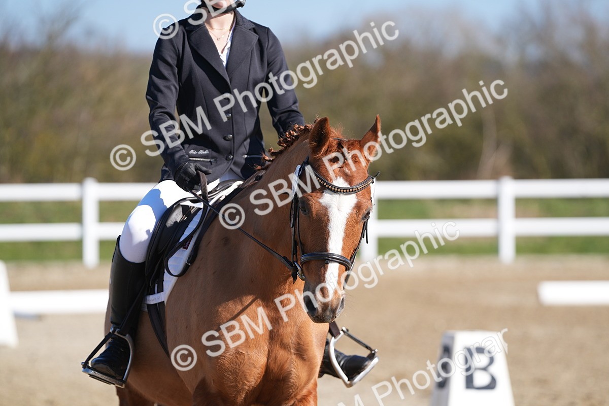 SBM_001161 - Class 2 - Intro 2