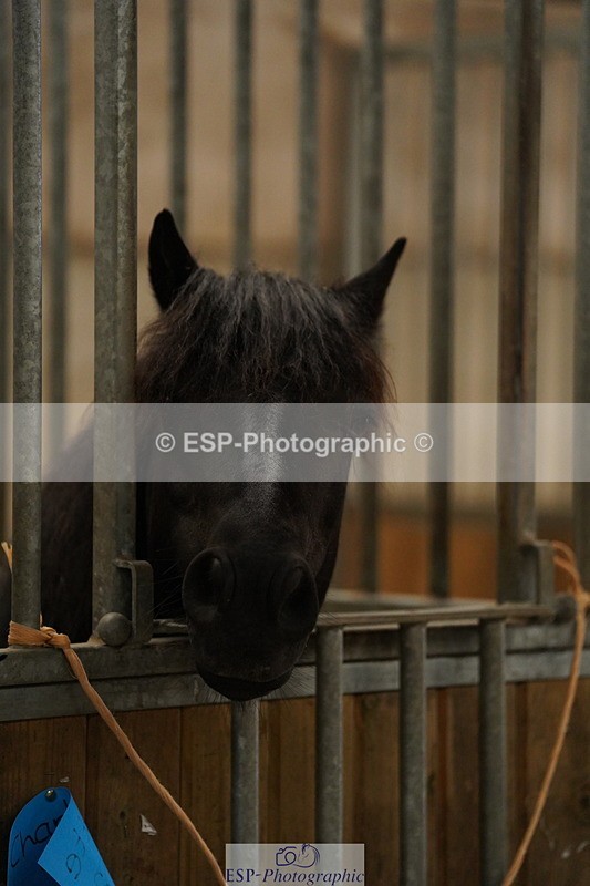 240809A-134738-01025 - Stable Shots