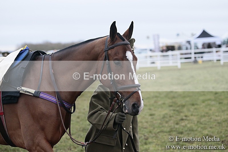 PtP 180218 56 - Combined Services Point-to-Point Larkhill 18/02/18