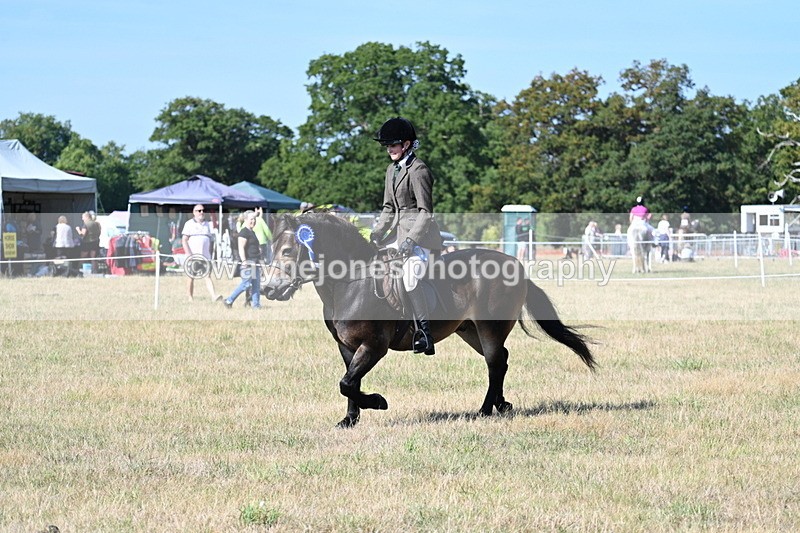 WJ7_3296 - Class 8 Ridden Tack & Turnout