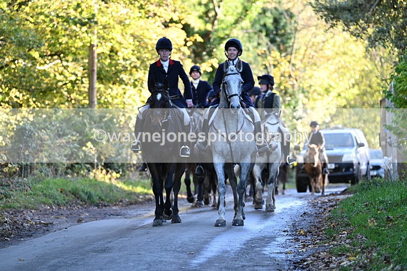 WJ7_8691 - Walk Home