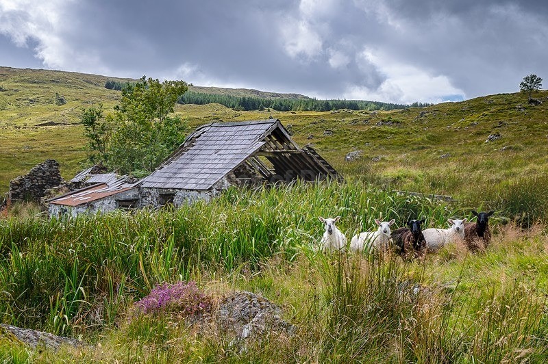 MF2_6648-HDR-Edit - Other Areas of Inland Donegal