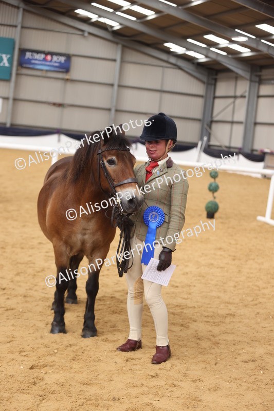 20260913-1732 - Class 115 - Gelding 4years and over