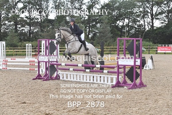 BPP_2878 - CLASS 2 Club/ Unaffiliated 80cms Open