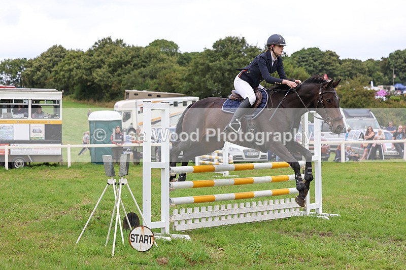 3E7A6999 - Class 5: Senior British Novice/90cm open