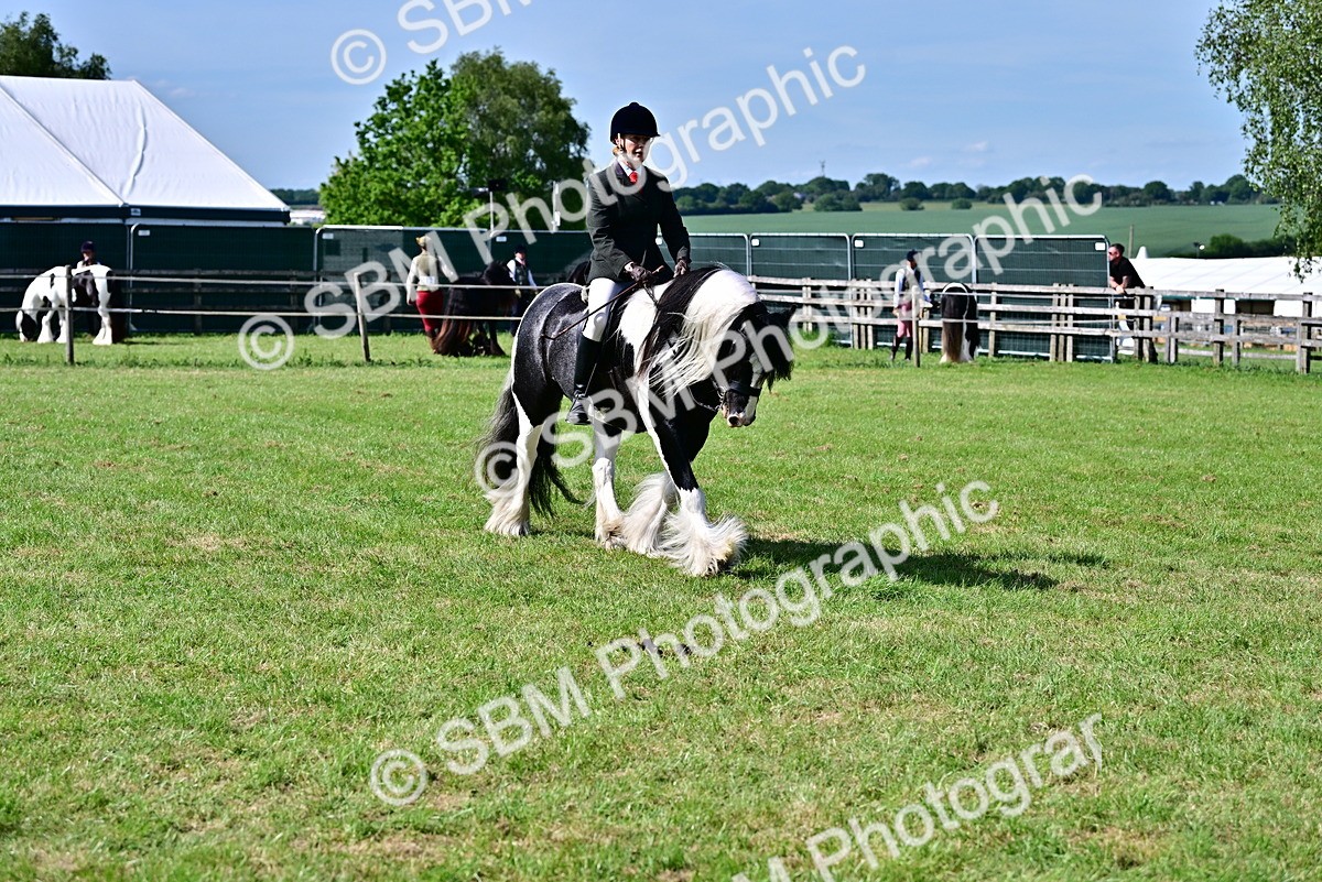 SBM_09341 - Class 63-65 - Traditional Gypsy Cobs In Hand & Ridden