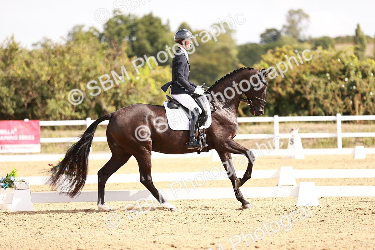 SBM_017629 - Class 11 - Advanced Medium 6