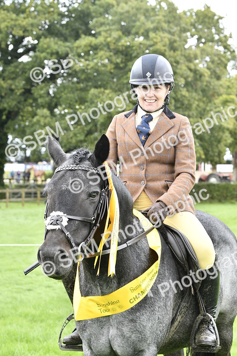 SBM_38271 - S31 - Novice & Newcomer Working Hunter Pony