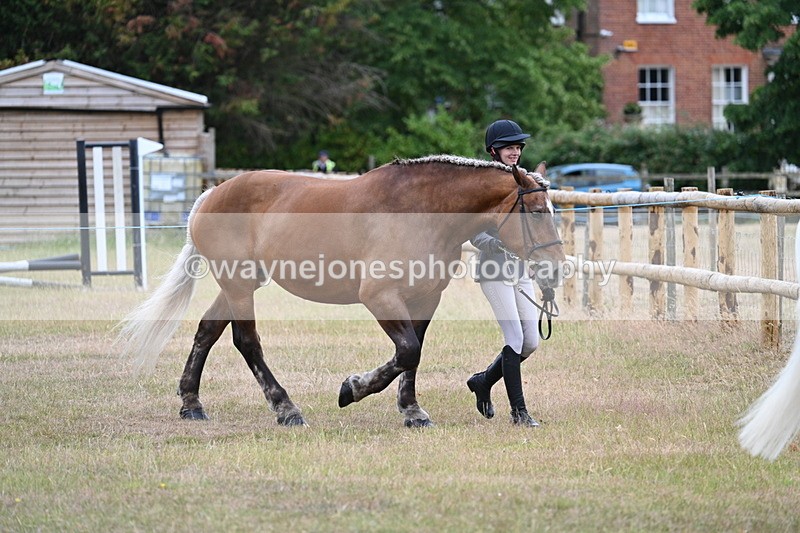 WJ7_9071 - Class 4a Prettiest Mare 14.2hh and over