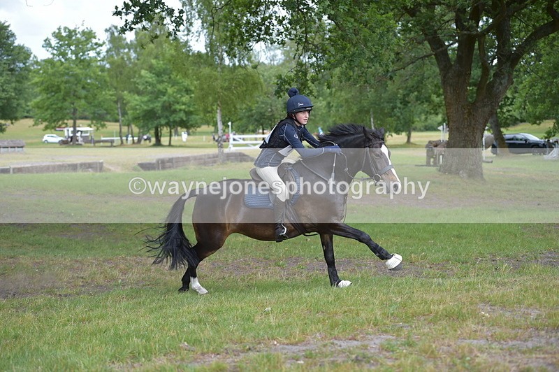 NGP_8018 - Time 11:39 to 11:48