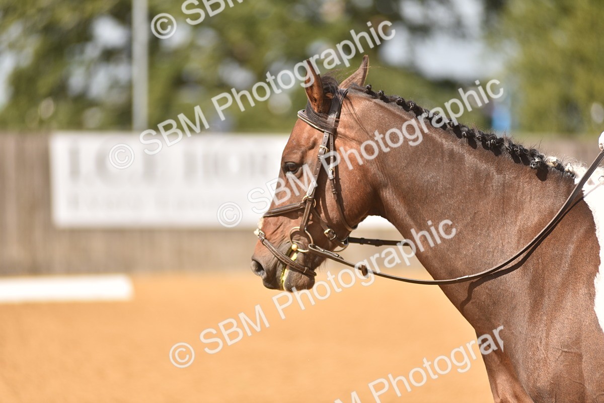 SBM_07725 - D15 - Small Tour Championship Novice 1