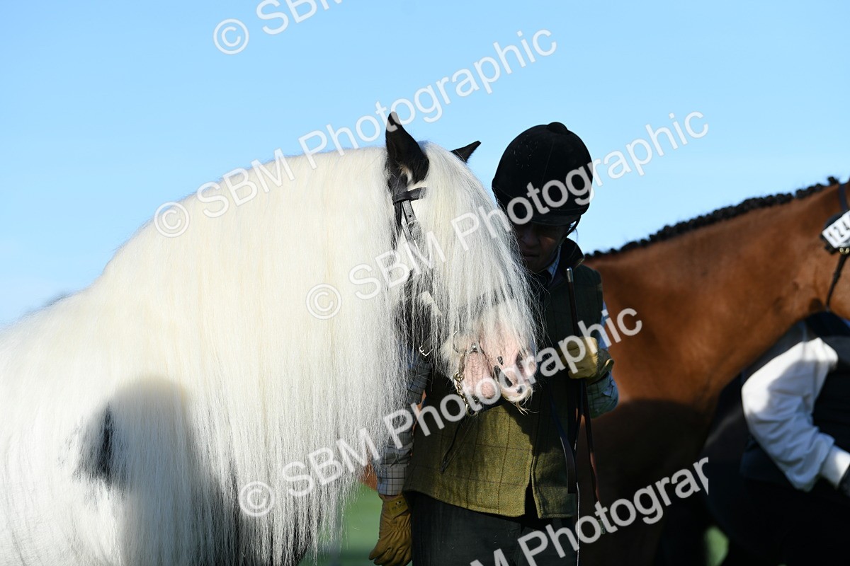 SBM_32786 - S15 - Condition & Turnout In Hand