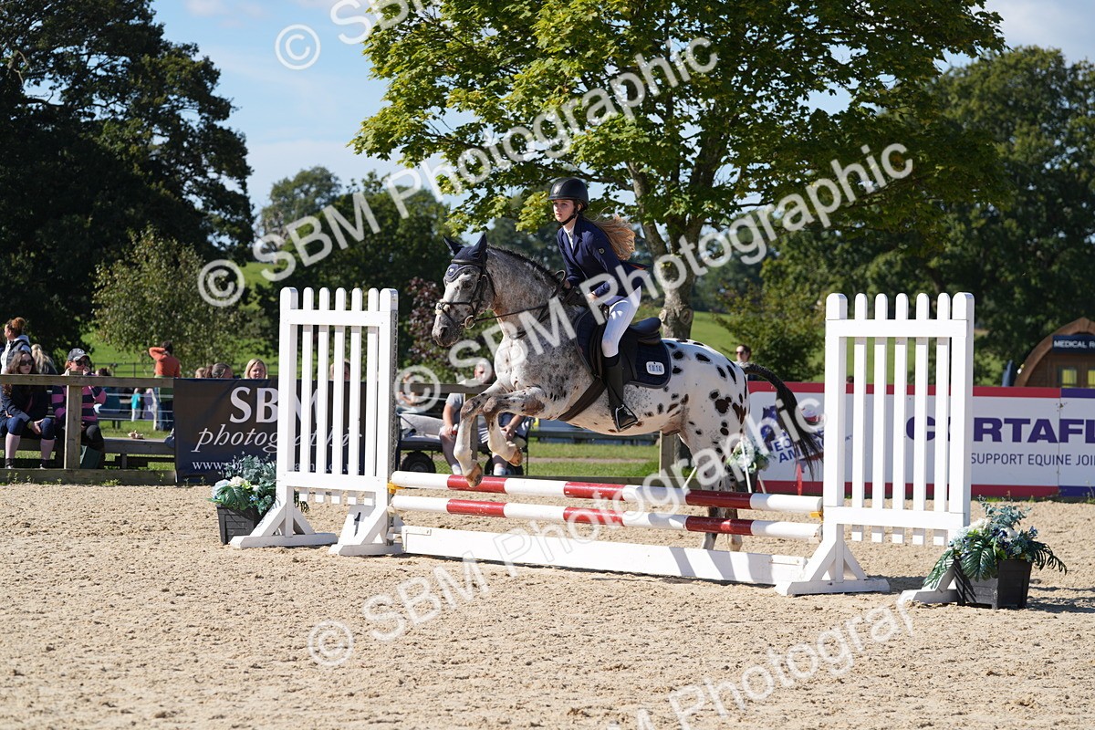 SBM_38690 - J21 - Junior Horse 60cm Championship