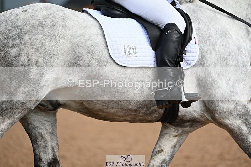 240323A-124923-01858 - DR Elementary 42