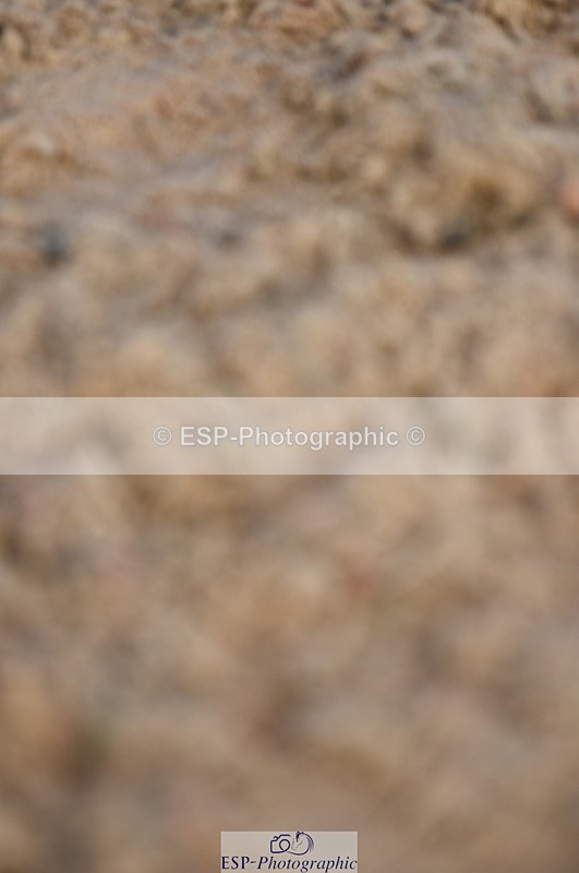 230915A-103856-00193 - Cls 9 British Novice & 90cm Open