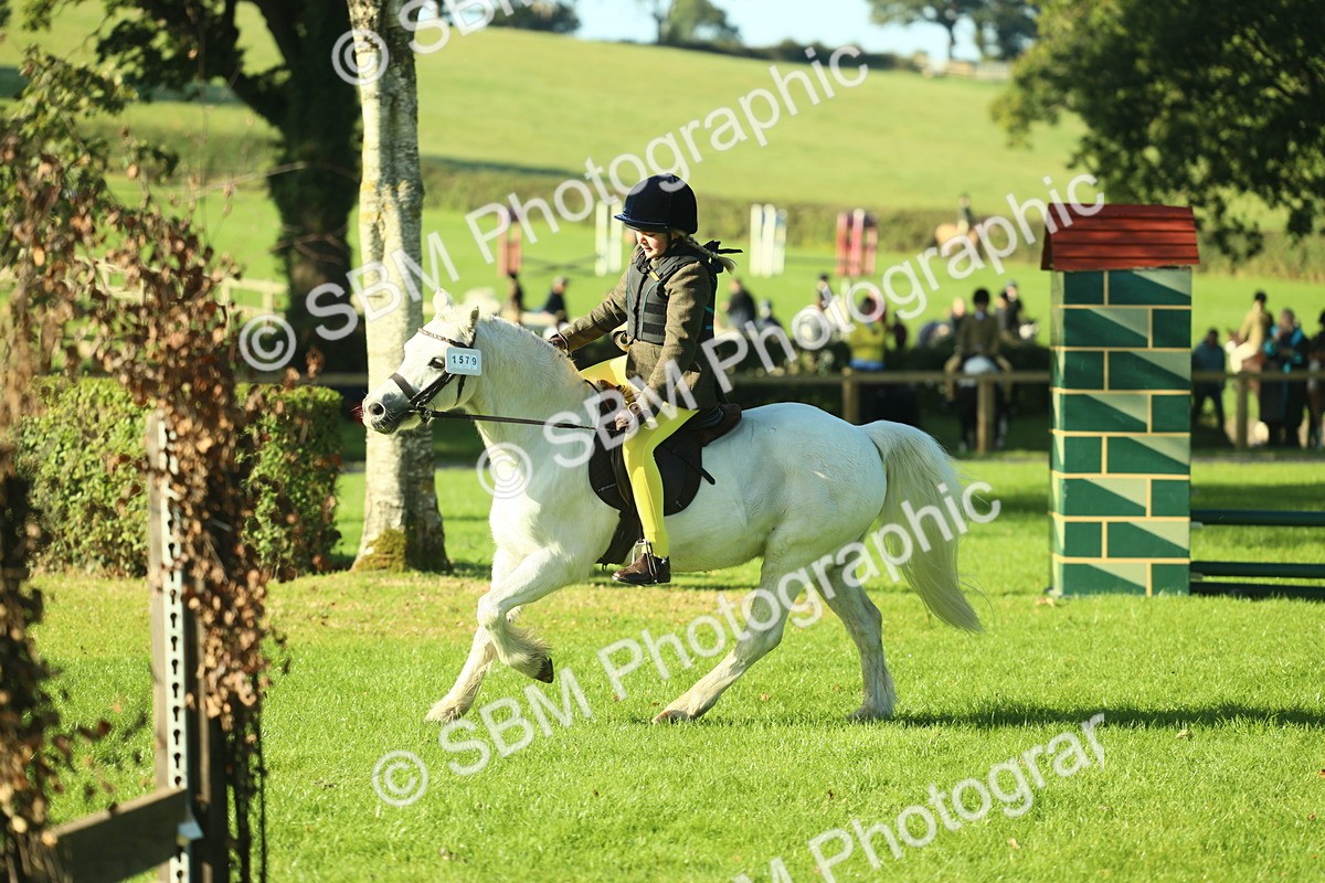 SBM_36307 - S29 - Novice & Newcomers Working Hunter Pony